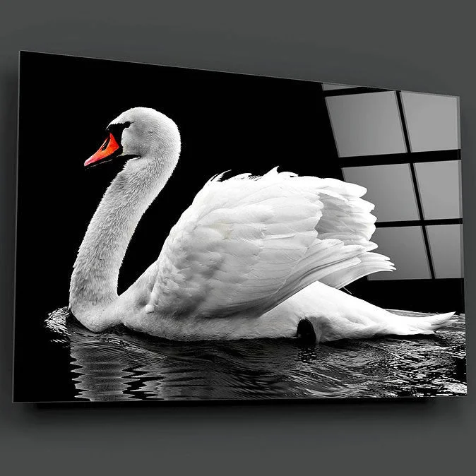 Peinture sur verre de cygne